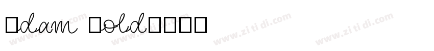 Adam Bold字体转换